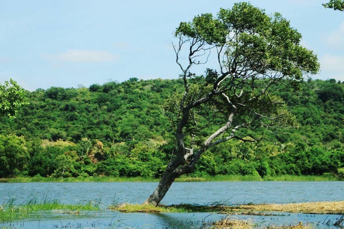 דמבולה Athena Lake By Seedevi מראה חיצוני תמונה